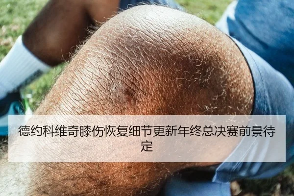 德约科维奇膝伤恢复细节更新年终总决赛前景待定